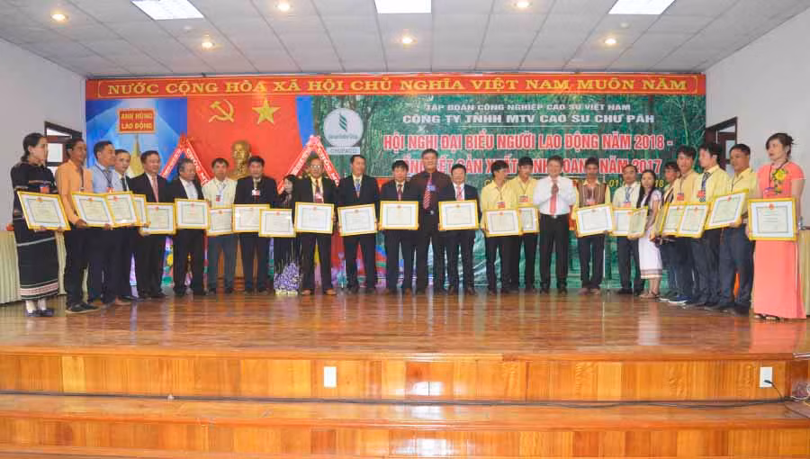 Trao tặng bằng khen của Tập đoàn Công nghiệp Cao su cho các cá nhân và tập thể xuất sắc năm 2017. Ảnh: Đ.Y