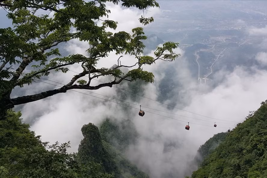 Vẻ đẹp trên các ngọn núi mây phủ, sau khi đi hết 99 khúc cua và tận hưởng hệ thống cáp treo huyền thoại. Vẻ đẹp trên các ngọn núi mây phủ, sau khi đi hết 99 khúc cua và tận hưởng hệ thống cáp treo huyền thoại.