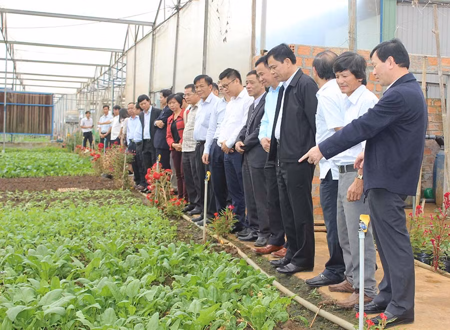 Công ty Hương đất An Phú. Ảnh: Nguyễn Diệp