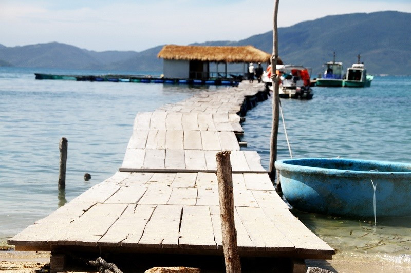 Cầu tàu trên Vịnh.