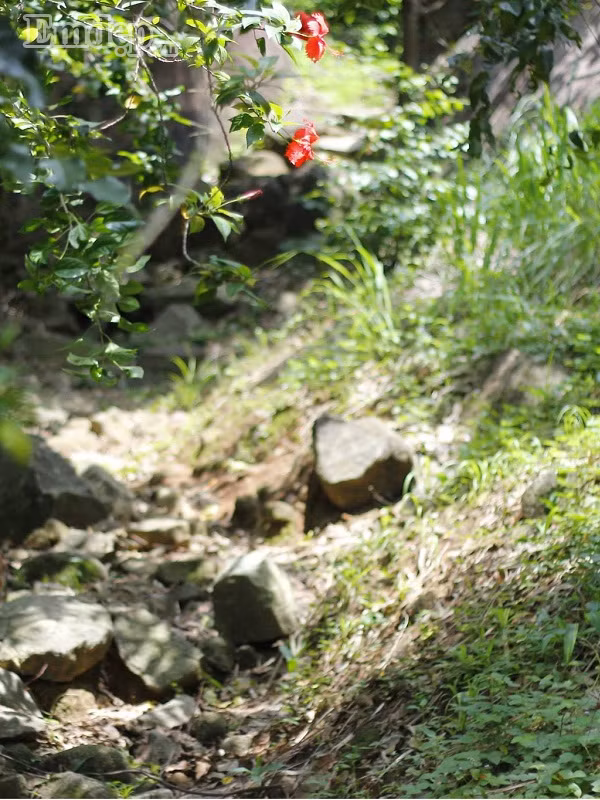 So với các núi khác thì núi Gia Lào tương đối dễ leo. So với các núi khác thì núi Gia Lào tương đối dễ leo.