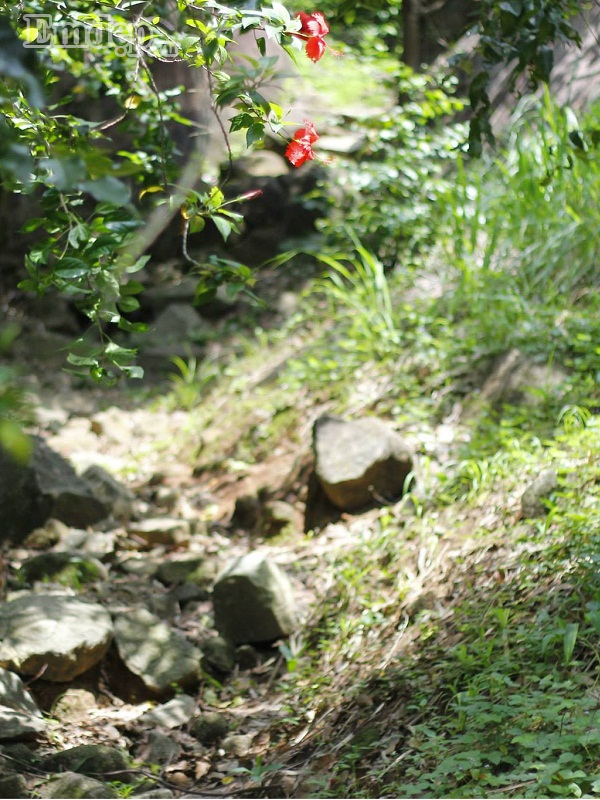 So với các núi khác thì núi Gia Lào tương đối dễ leo. So với các núi khác thì núi Gia Lào tương đối dễ leo.