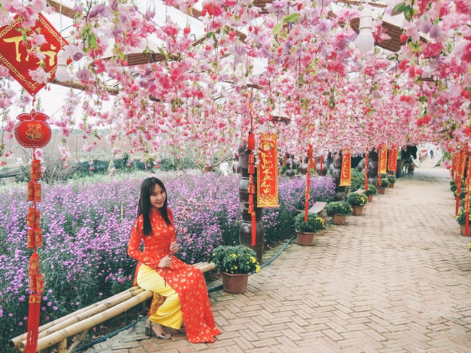 Tại các vườn hoa, người tham quan có thể thuê áo dài chụp ảnh chào năm mới với giá từ 100.000-150.000 đồng.