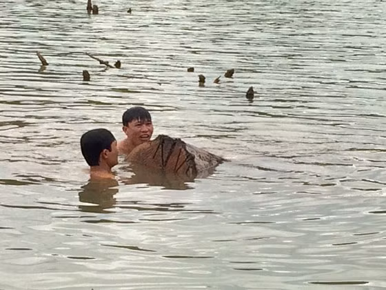 Gỗ lậu cất giấu dưới hồ thủy điện