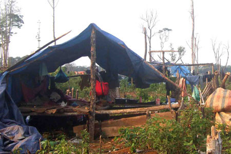 Lán trại của người đi tìm trầm dựng ở bìa rừng. Ảnh: L.A