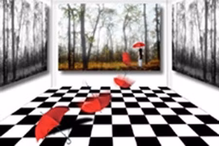 Việt Nam giành 7 giải thưởng nhiếp ảnh PSA ảnh 1 Tác phẩm