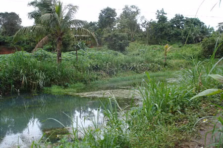 Thủy lợi ở Ia Grai. Ảnh: Nguyễn Diệp