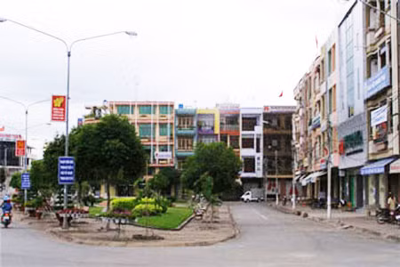 Một góc thành phố Tân An, phía trước là hồ Con Rùa.