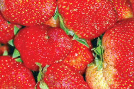 Dinh dưỡng chống béo ảnh 1 Dinh dưỡng chống béo ảnh 1