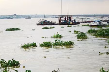 Lưu vực sông Đồng Nai: Hạn chế đầu tư một số ngành nghề ảnh 1