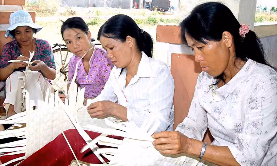 Cho tới nay cả tỉnh có 123 hợp tác xã