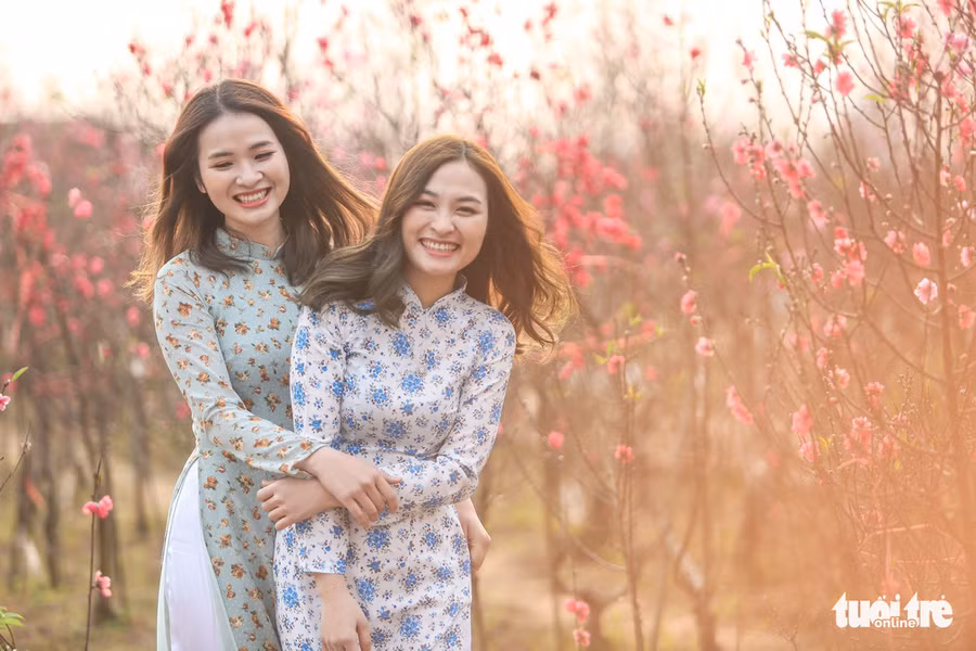 Hai bạn trẻ NguyễnThị Hương và Nguyễn Thanh Hoàn đến từ Nghệ An và đang công tác tại Hà Nội tranh thủ buổi chiều chủ nhật cuối năm để cùng bạn bè tới Nhật Tân chụp ảnh áo dài cùng với hoa đào