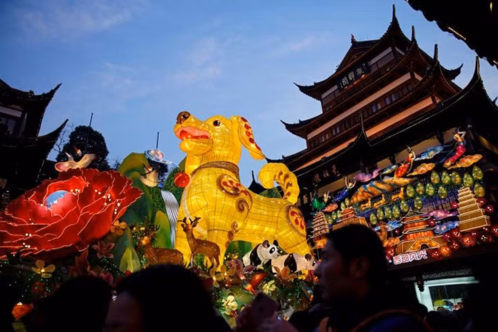 Chiếc đèn lồng khổng lồ hình chú chó xuất hiện tại Dự Viên ở thành phố Thượng Hải, Trung Quốc ngày 8/2.