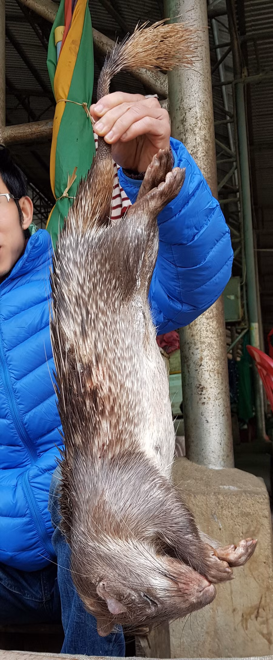 Những hình ảnh mua bán thú rừng rùng rợn tại Lào, được camera giấu kín của chúng tôi nghi nhận ngày 6-2-2018.