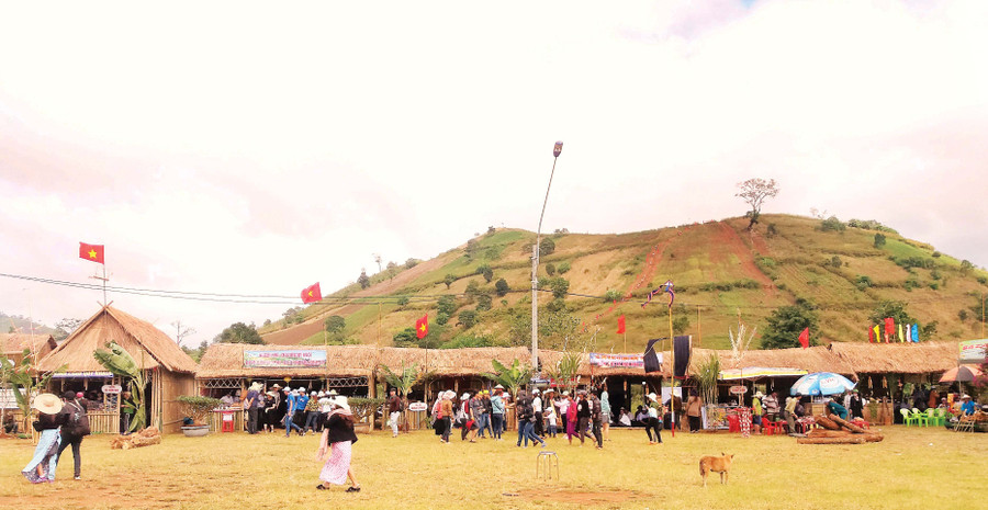  Lễ hội hoa dã quỹ-núi lửa Chư Đăng Ya thu hút rất đông du khách trong và ngoài tỉnh.