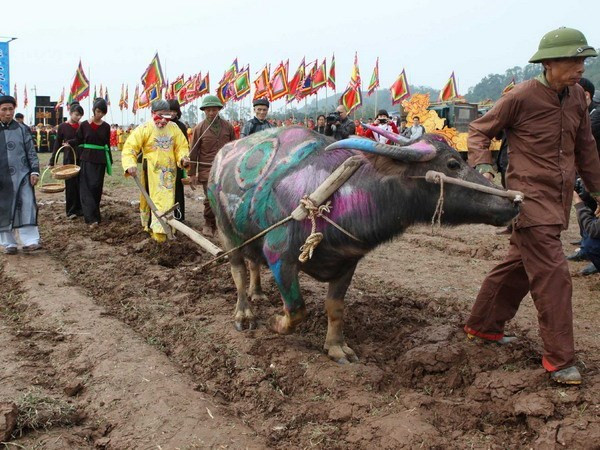 Tái hiện màn vua đi cày tại Lễ Tịch điền ở Hà Nam. Tái hiện màn vua đi cày tại Lễ Tịch điền ở Hà Nam.