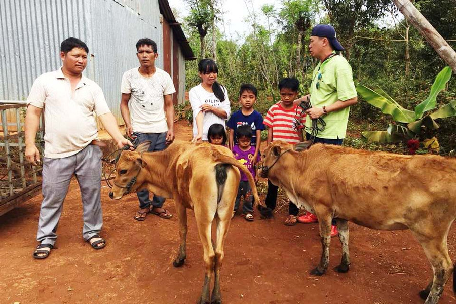 Thấy hoàn cảnh của gia đình chị Rơ Châm Tơng, Quỹ Hỗ trợ bệnh nhân nghèo tỉnh đã tặng 2 con bò giống. Ảnh: Đ.Y