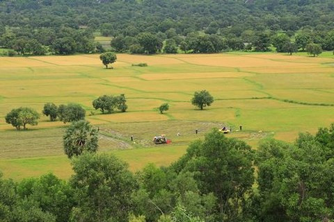  Từ Tà Pạ bạn có thể ngắm cách đồng lúa trải dài.