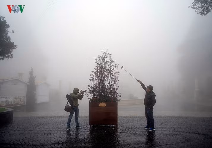 Nhiều du khách lưu trú trên Bà Nà dậy từ sớm để ngắm những bông đào Chuông rung rinh trong gió lạnh, ghi lại những khoảnh khắc độc đáo.