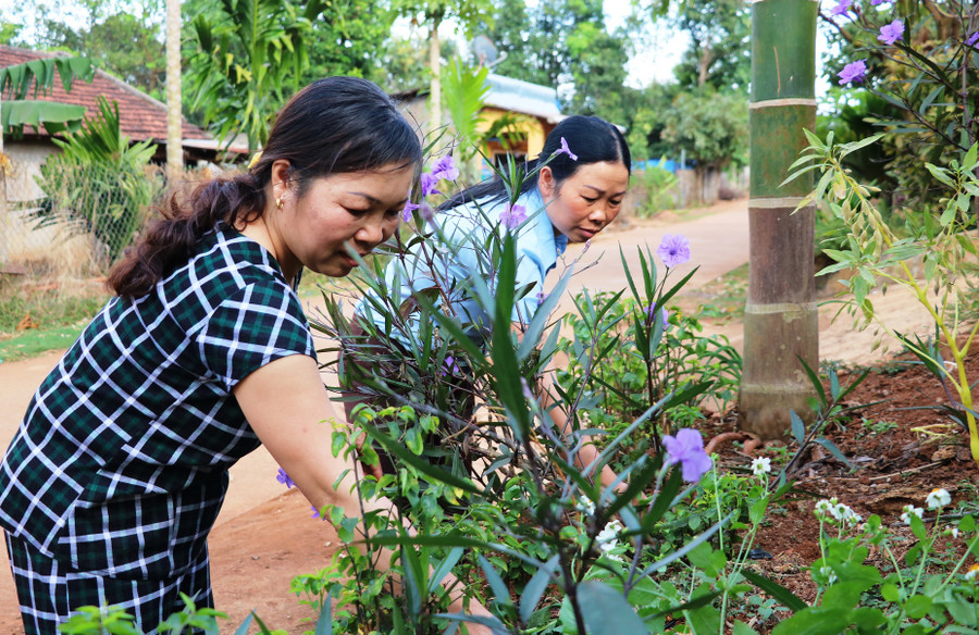 Chị em phụ nữ thôn 1 chăm sóc con đường hoa. Ảnh: Trần Dung Chị em phụ nữ thôn 1 chăm sóc con đường hoa. Ảnh: Trần Dung