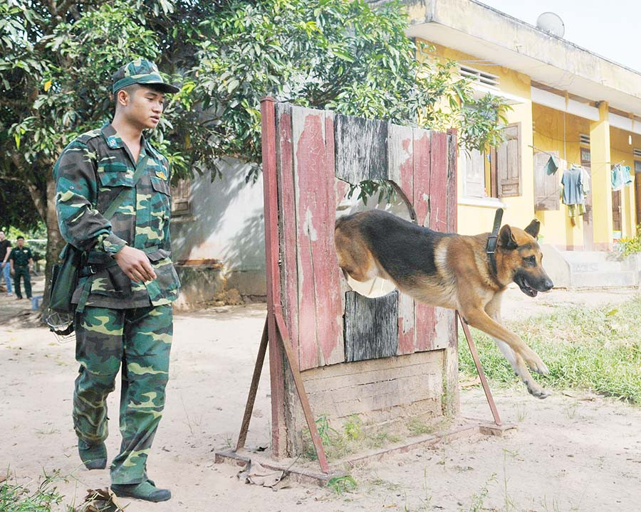  Đội hình trước khi vào bài huấn luyện ở Cụm Cơ động chó nghiệp vụ 3. Ảnh: T.K.N