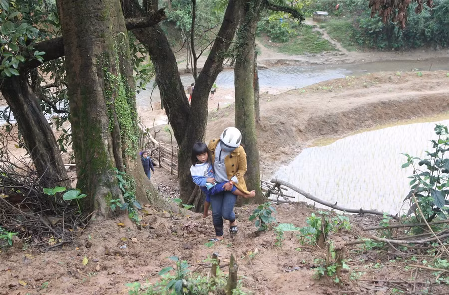 Đưa được cháu bé đến trường, cô giáo Hồ Thị Hiếu (Trường Mầm non Ba Tầng) tiếp tục đi đón học sinh khác ở bên kia dãy núi. Nơi này chưa có đường, phải đi bộ. Đưa được cháu bé đến trường, cô giáo Hồ Thị Hiếu (Trường Mầm non Ba Tầng) tiếp tục đi đón học sinh khác ở bên kia dãy núi. Nơi này chưa có đường, phải đi bộ.