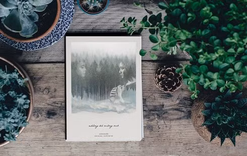 “Những kẻ mộng mơ” của Elvis Nguyễn.