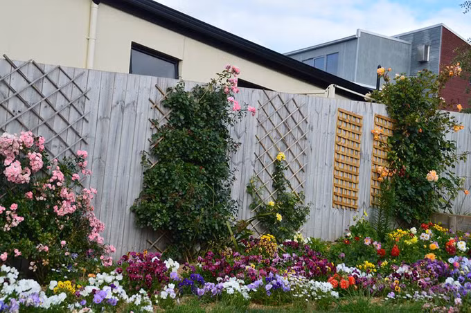 Khi mới bắt đầu, chị cũng rất hoang mang vì vườn quá rộng, nhiều cỏ dại lại nằm trên địa hình dốc. Chị từng ước giá như vườn nhỏ hơn, bằng phẳng và trống trơn.