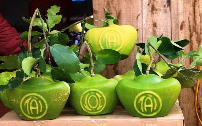 Những quả bưởi hình thỏi vàng có in chữ Tài - Lộc.