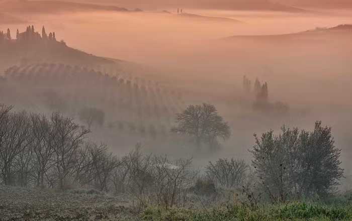 Những cánh đồng nho trong sương sớm - Ảnh: Mauro Maione