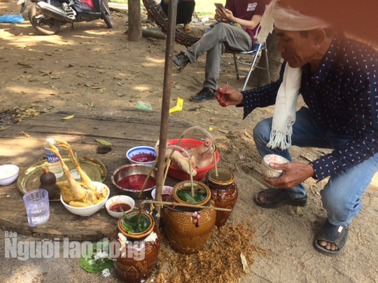 Các lễ vật trong nghi lễ cúng sức khỏe cho voi. Các lễ vật trong nghi lễ cúng sức khỏe cho voi.