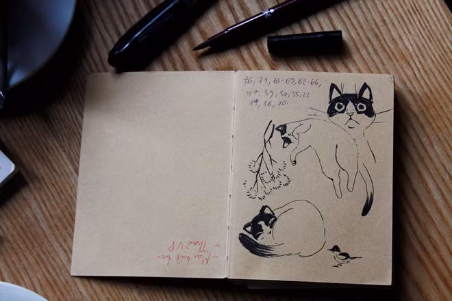 Dù vẽ bằng kỹ thuật số, họa sĩ vẫn dành nhiều thời gian quan sát, ký họa con mèo và bối cảnh nông thôn.