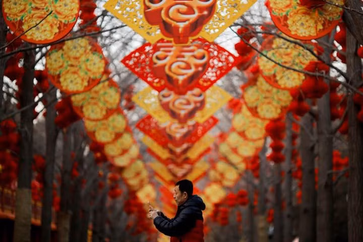  Người đàn ông này đang chụp ảnh hàng cây được trang trí đèn lồng đỏ thắm tại Công viên Ditan ở thủ đô Bắc Kinh, Trung Quốc, những ngày giáp Tết Mậu Tuất.