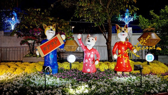 Gia đình nhà chó hạnh phúc sum vầy đón tết. 