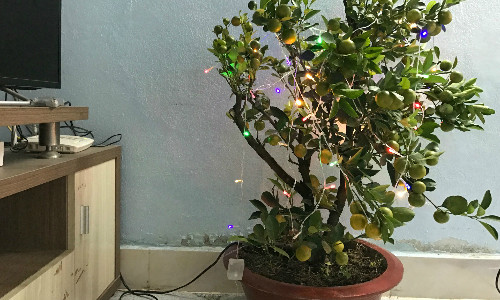 Tết đơn giản của người ở trọ - Ảnh minh họa: Hoàng Anh Tết đơn giản của người ở trọ - Ảnh minh họa: Hoàng Anh