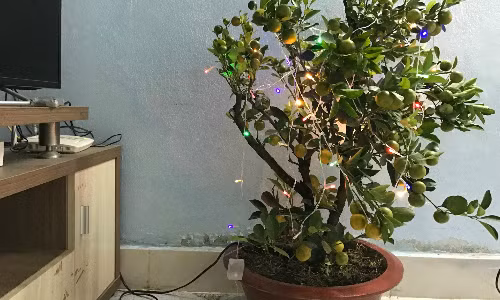 Tết đơn giản của người ở trọ - Ảnh minh họa: Hoàng Anh