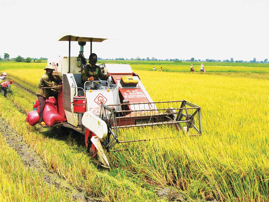  Đưa cơ giới vào sản xuất.