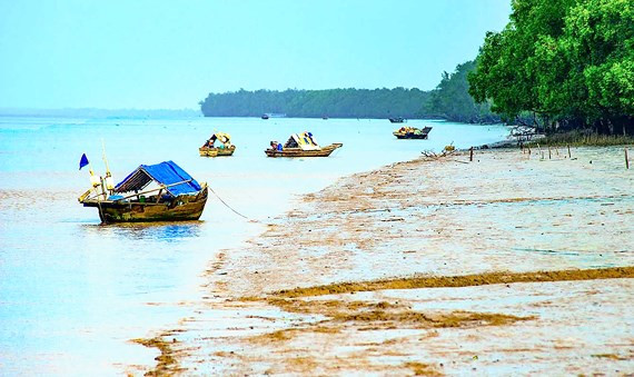 Bãi bồi ven biển ở Cù Lao Dung. Bãi bồi ven biển ở Cù Lao Dung.