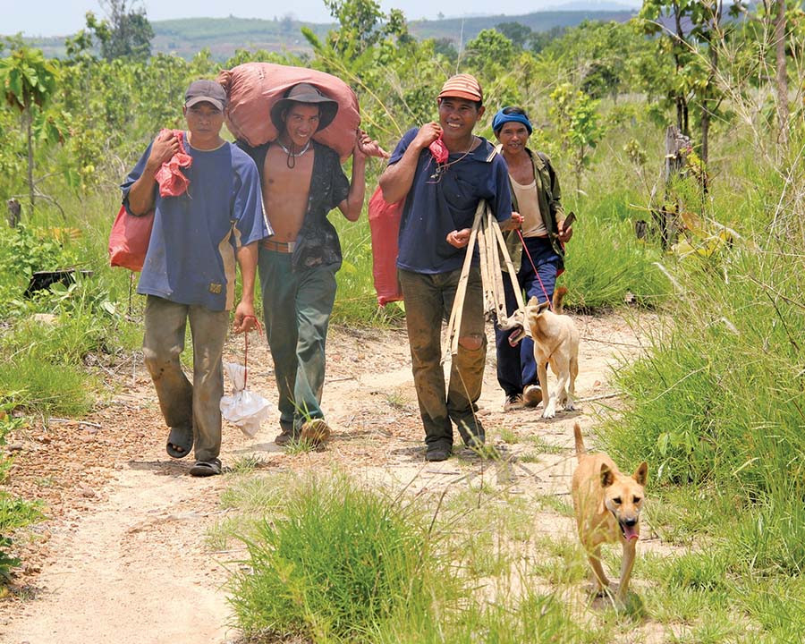  Những chú chó săn nhỏ thó, lanh lẹ vốn là niềm tự hào của người Bahnar. Ảnh: V.N