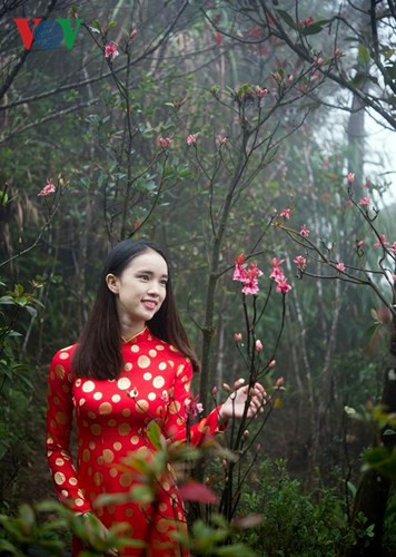 Thiếu nữ e ấp bên vườn Đào Chuông ở khu du lịch.