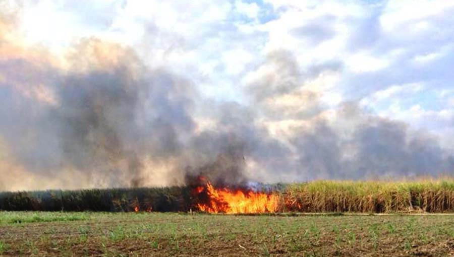  Ngọn lửa bùng to thiêu rụi gần 14 ha mía của người dân phường Nguyễn Trãi, TP. Kon Tum. Ảnh: Hoài Trần