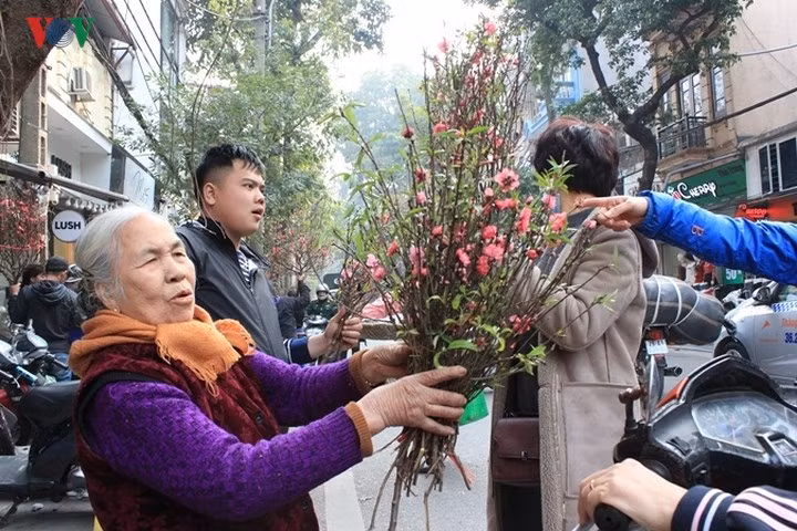 Tại phố Hàng Cót, nhiều cụ già cũng ra mua bán hoa đào và cùng thưởng ngoạn không khí xuân.