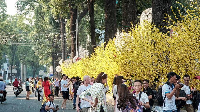 Cứ mỗi dịp xuân về, góc đường Phạm Ngọc Thạch – Nguyễn Thị Minh Khai lại rực rỡ sắc xuân với hoa mai vàng, đào thắm, bánh chưng xanh, dưa hấu, lồng đèn nhiều màu sắc... Nơi này còn được gọi là phố ông Đồ, thu hút đông đảo người dân và du khách đến tham quan nhờ không gian được bày trí bắt mắt.