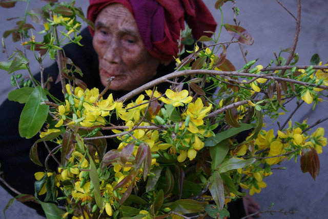  Mẹ già với xuân - Ảnh: Gia Tiến