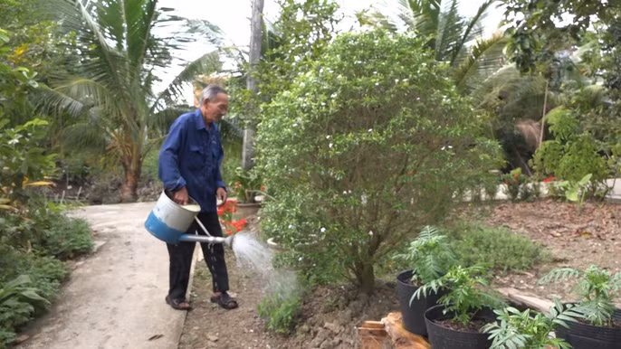 Ông Nguyễn Văn Bé chăm sóc vườn tược nhà mình