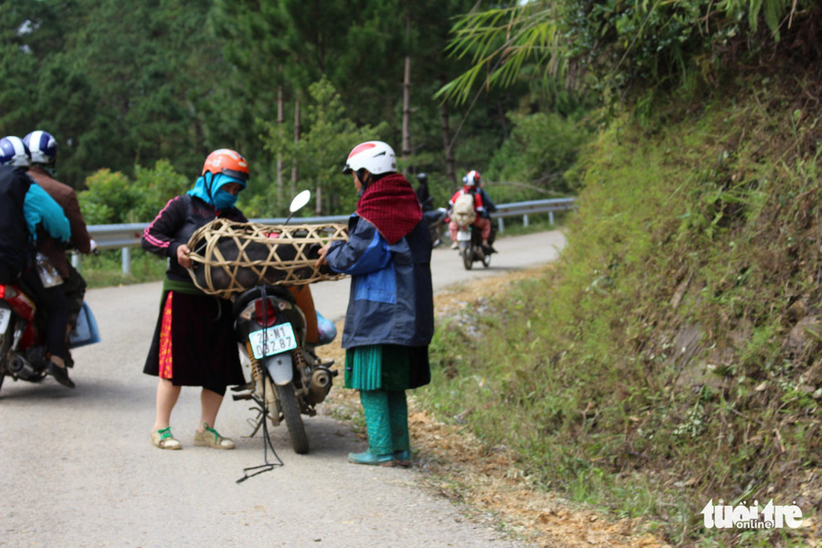 Giữa cái lạnh bủa vây, bà con miền núi cao hằng ngày vẫn đều đặn vượt núi đèo, tranh thủ bán con heo hay mớ rau để lấy tiền trang trải cuộc sống 