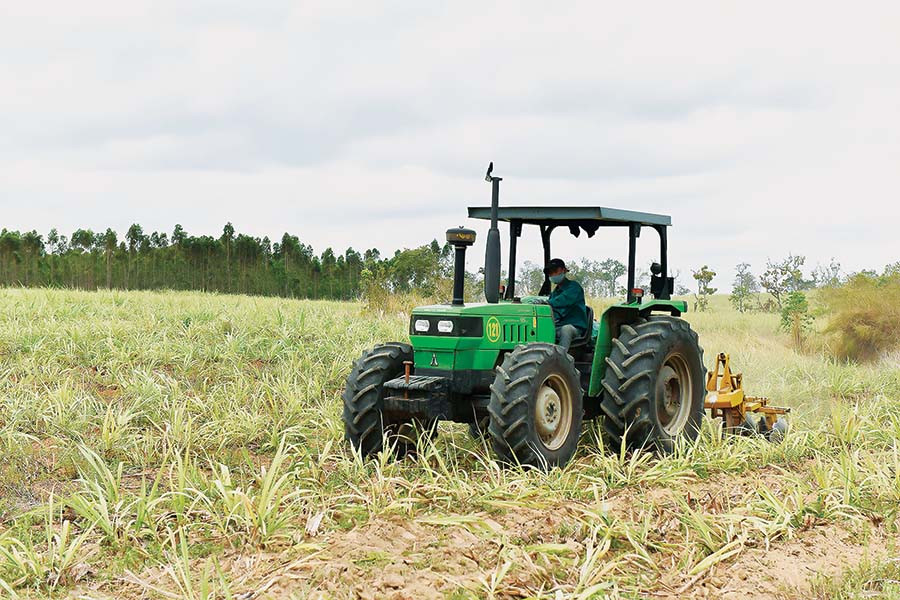  Đưa phương tiện cơ giới vào trồng mía thay sức lao động mang lại hiệu quả cao. Ảnh: Đức Thụy