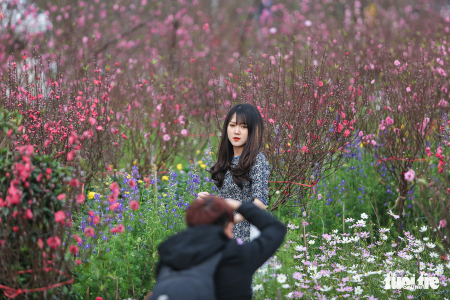 Đây cũng là thời điểm các 