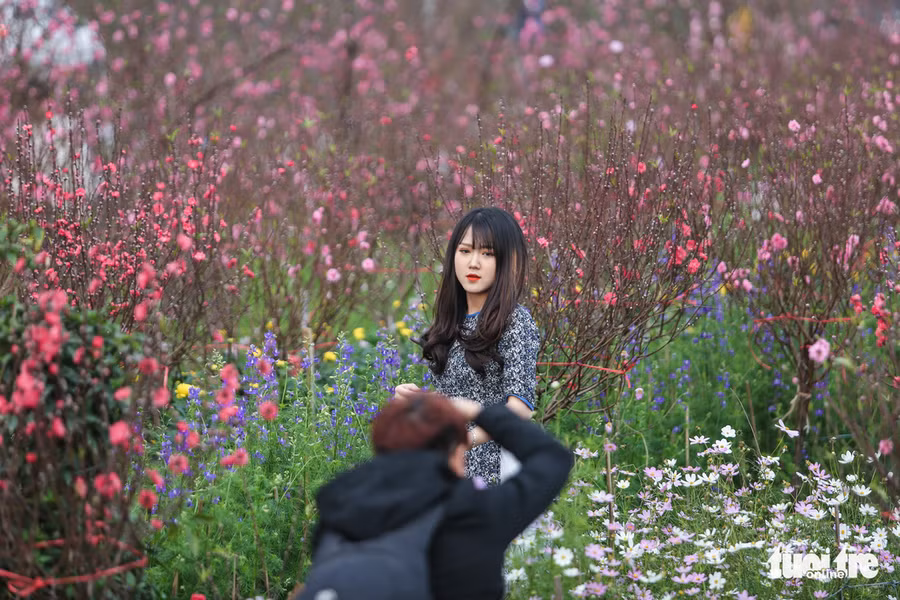 Đây cũng là thời điểm các 