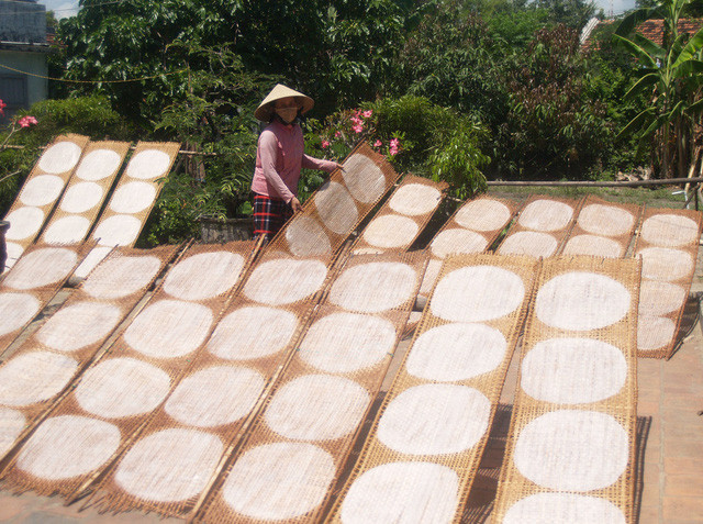  Phơi bánh tráng ở làng nghề bánh tráng Hòa Đa (xã An Mỹ, huyện Tuy AN, Phú Yên) 